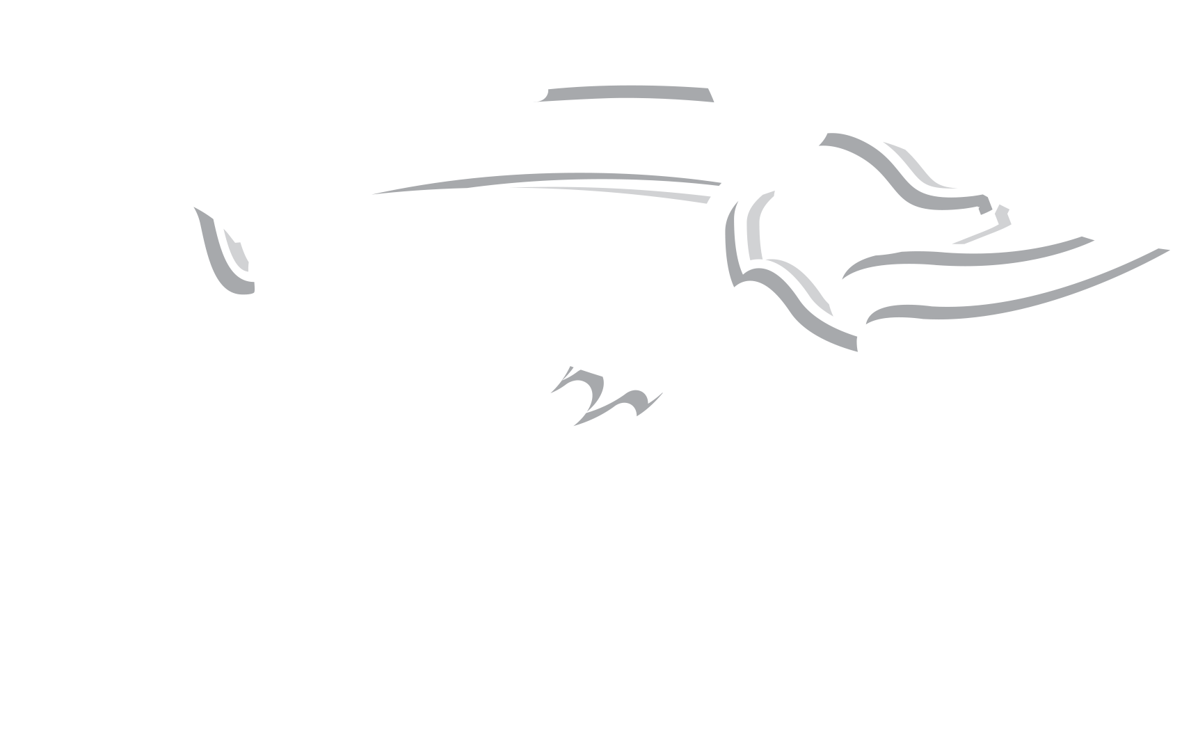 Steelhead Energy